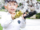 kf-A802b9d9584104bba8876661787e87e78M