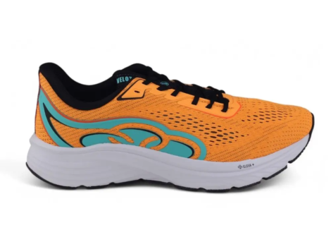 kf-S2fb1d5cbe6984df092fe355d8c08c937u