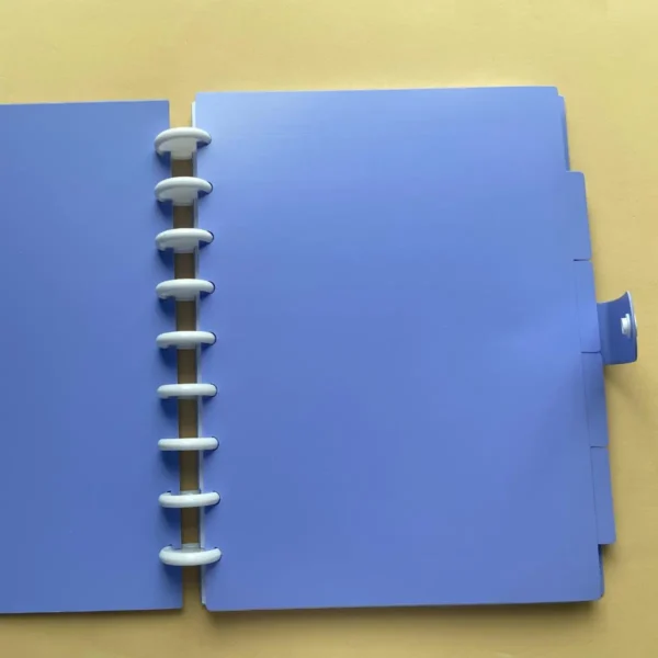 Produto Caderno de Disco Sistema Inteligente com Divisórias 250x180mm - Imagem 6
