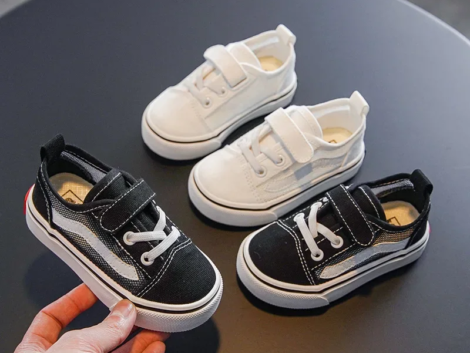 kf-S73ae4fddfe3847a19f3df9c4c8c4be6em