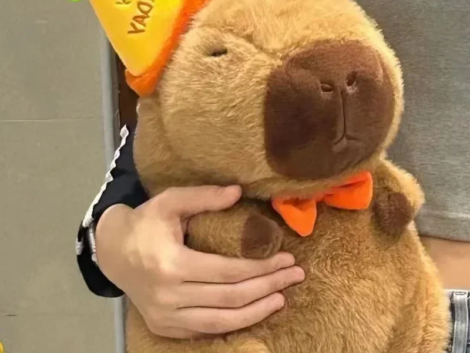 kf-S767e8305a15b495f8ddd7b32aae33d52a