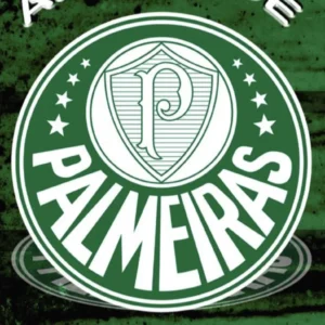Toalha de Banho Palmeiras Praia Piscina Estampadas Time de Futebol 100% Absorção Promoção